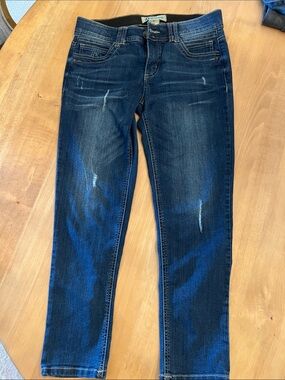 Democracy Women’s Dark Blue Skinny Jeans